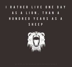 2f194efa60aa88f8e7b1603e69a22d62